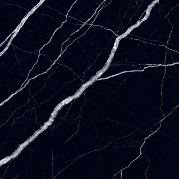 CAT-ALESSIO-ENCIMERAS-9