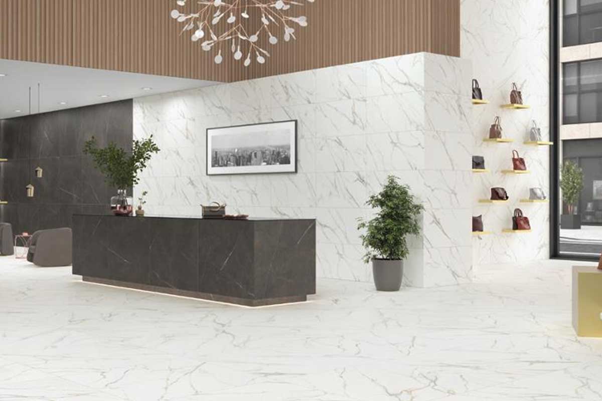 cat-alessio-encimera-13011