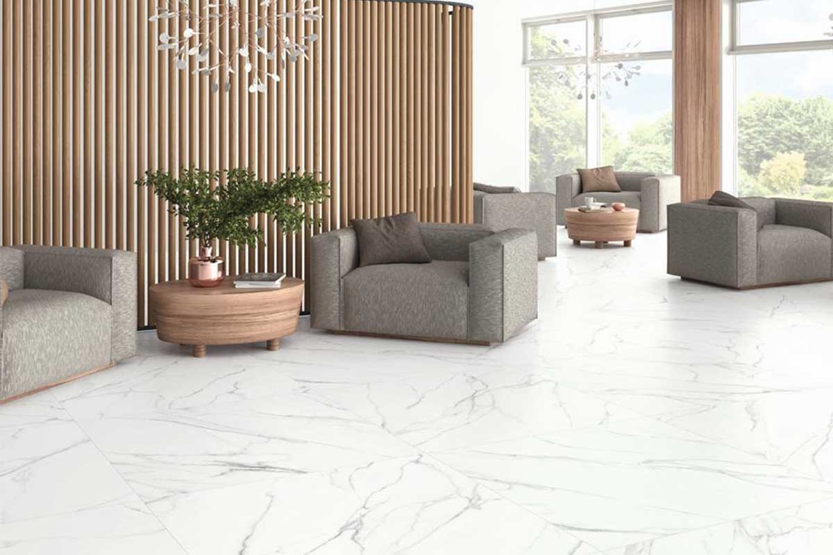 cat-alessio-encimera-13012