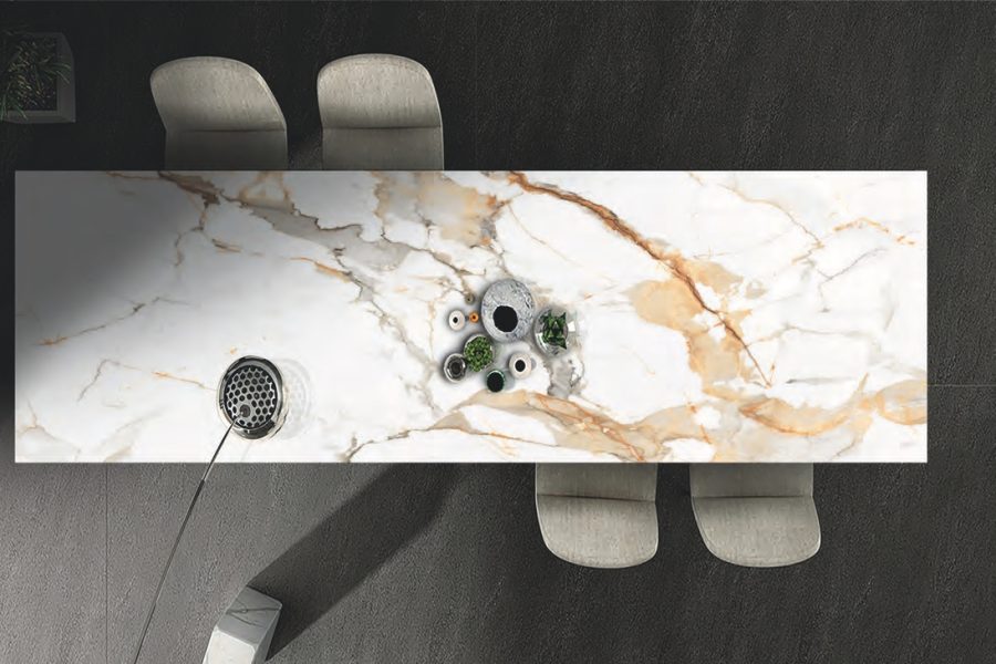 CAT-ALESSIO-ENCIMERAS-2